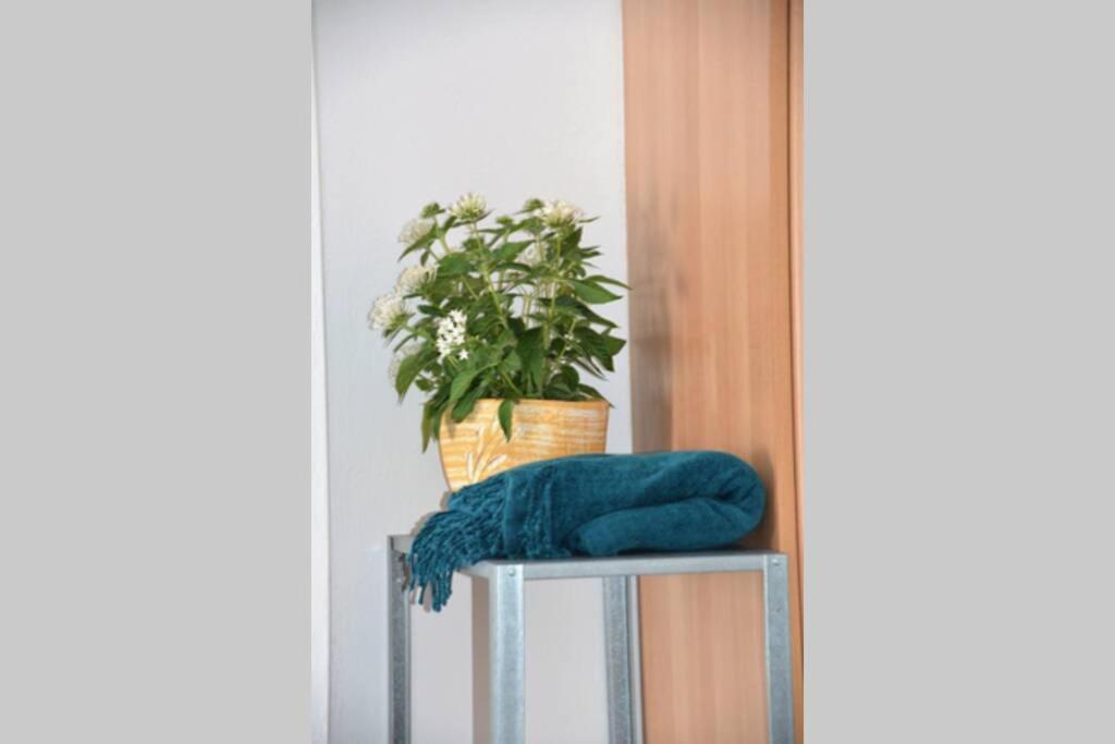 B2 - The Cozy One Apartman Éjo Kültér fotó