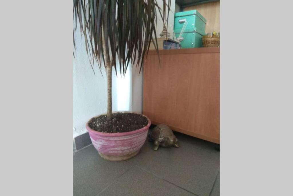 B2 - The Cozy One Apartman Éjo Kültér fotó